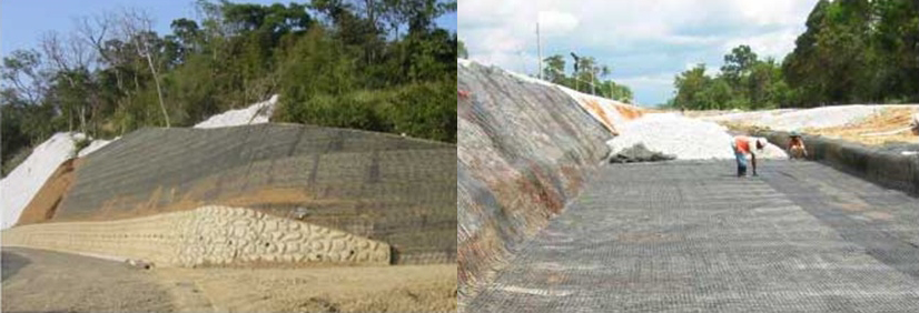 GEOGRIDS